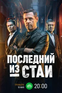 Последний из стаи онлайн