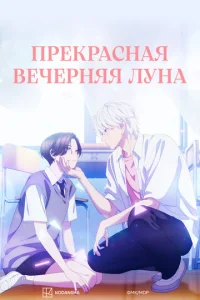 Прекрасная вечерняя луна онлайн